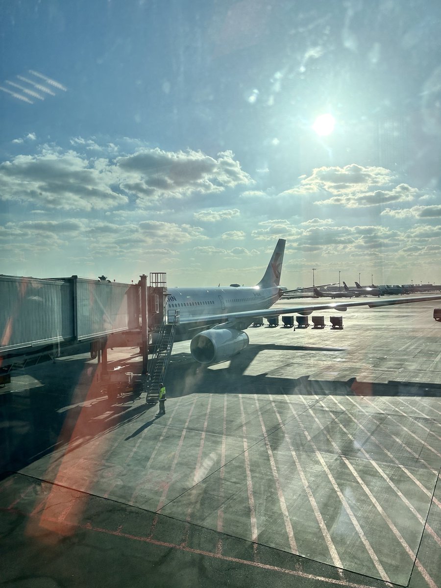 ぽち二等兵 tweet media