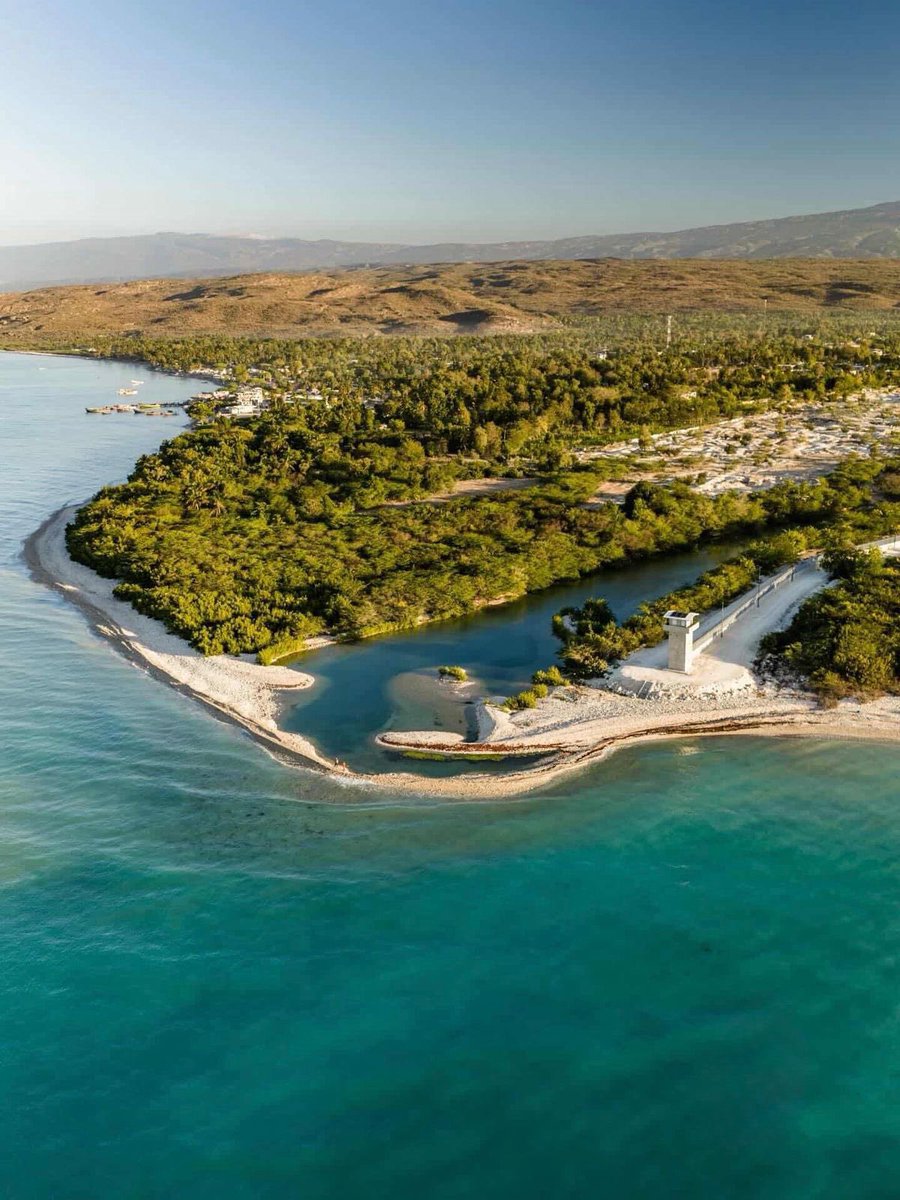 Jose Paliza tweet media