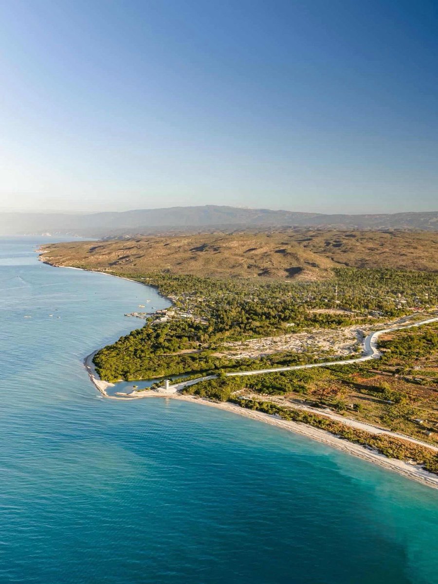 Jose Paliza tweet media