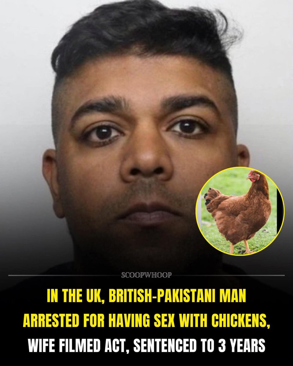 EverydayBritain | Restore Britain tweet media