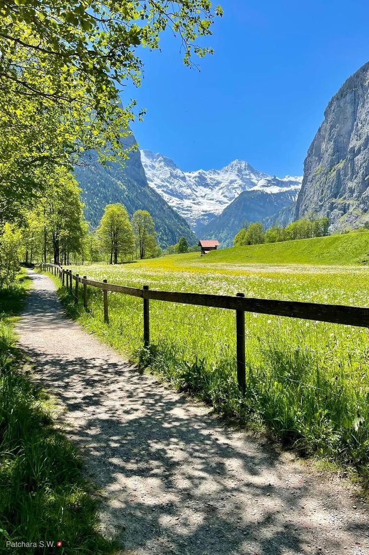 Magical views tweet media