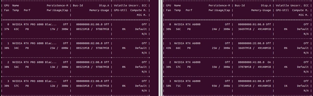 AI✖️Satoshi⏩️ tweet media