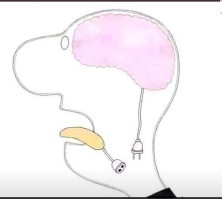 DunkenLFC tweet media