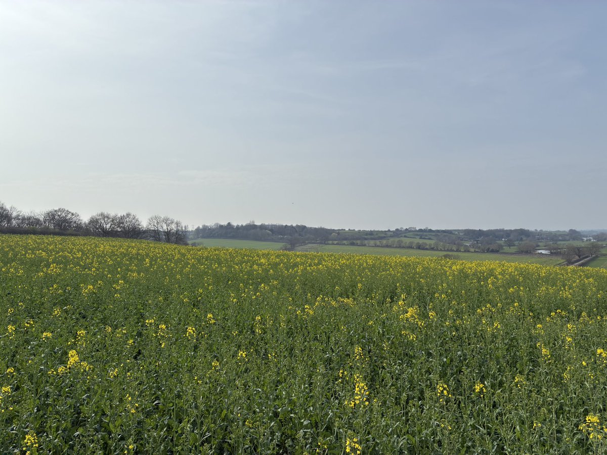 Daniel lievesley tweet media