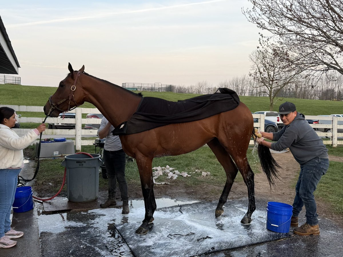 URacingStables tweet media