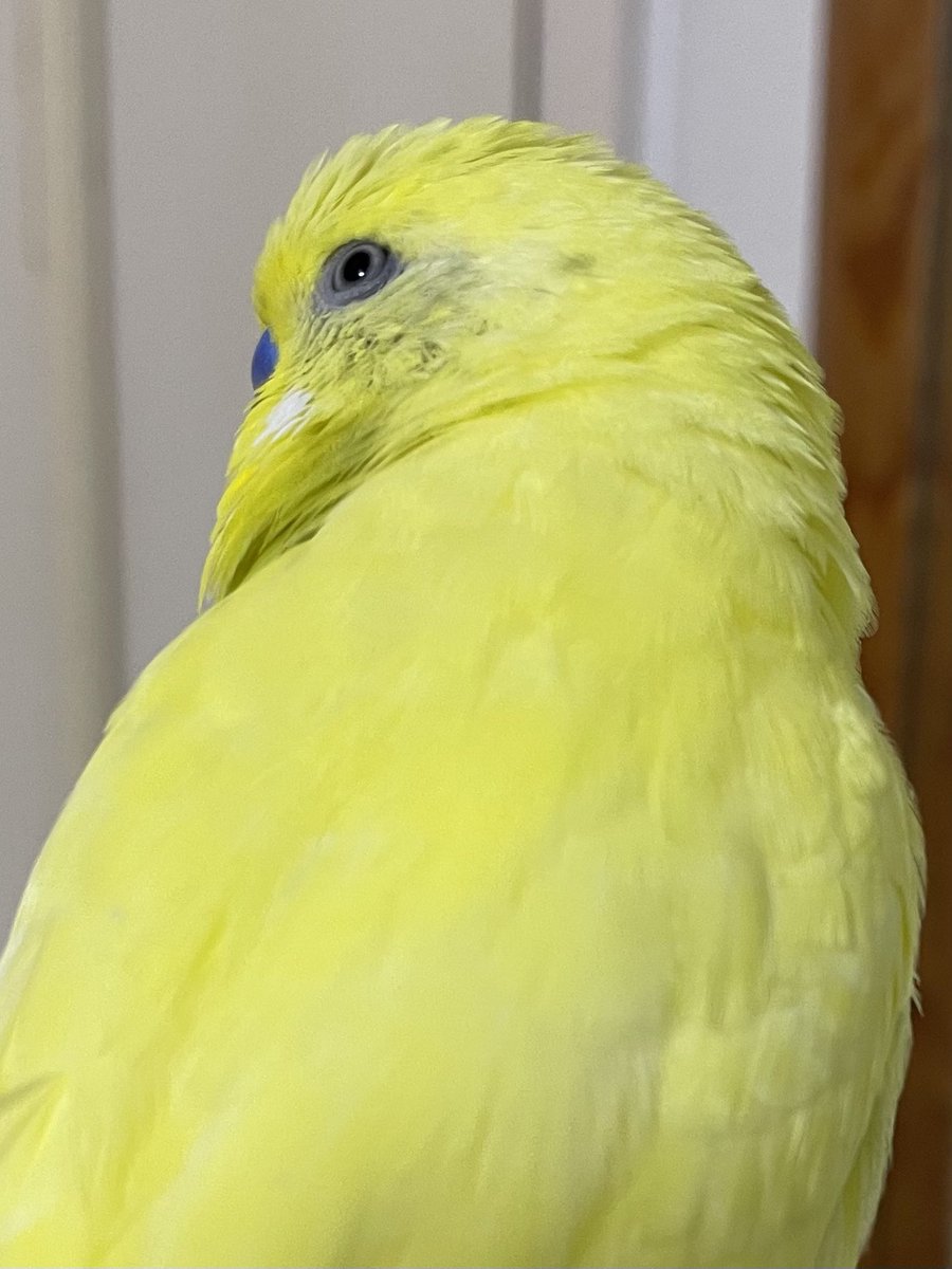 じゅにゃ tweet media