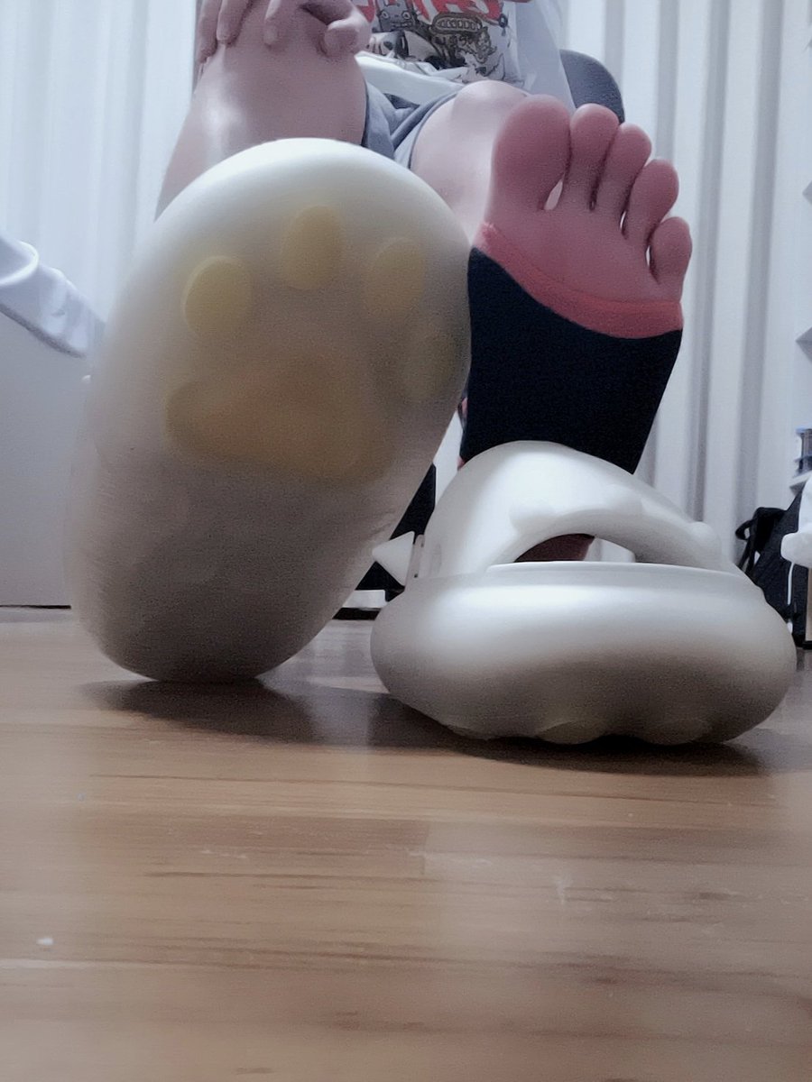 一只呆毛怪 tweet media