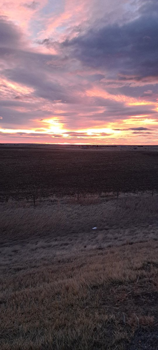 Rick 🇨🇦🍒 tweet media