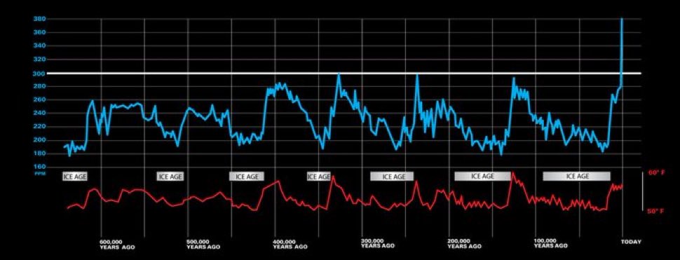 The Global Warmer🔥🌏 🔥 tweet media