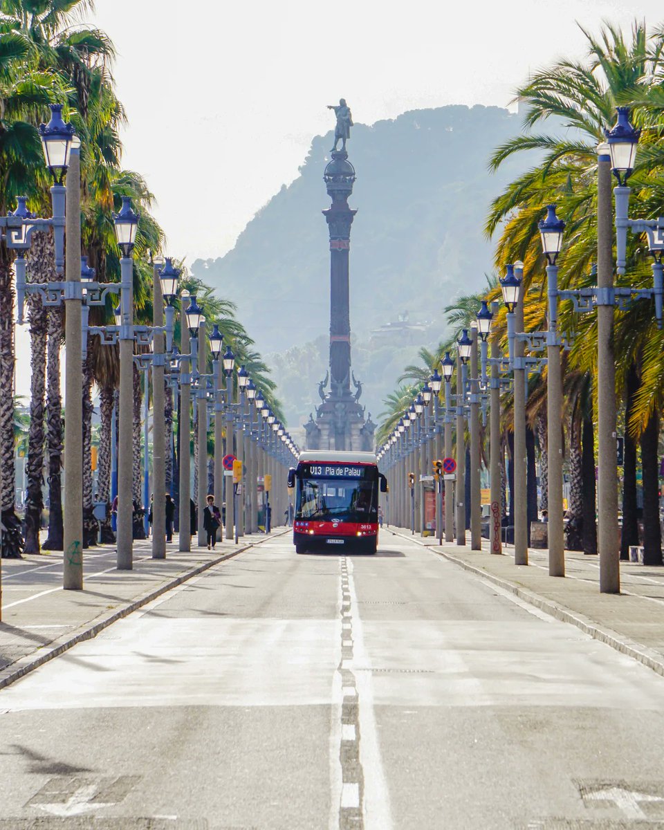 Aqua Vibes tweet media