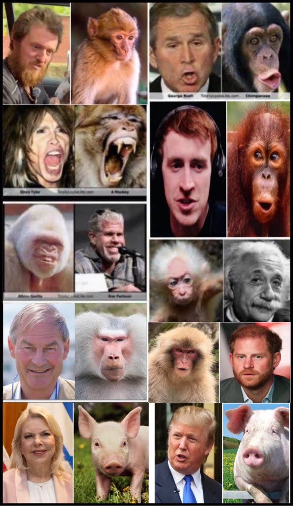 Darth Vengeance tweet media