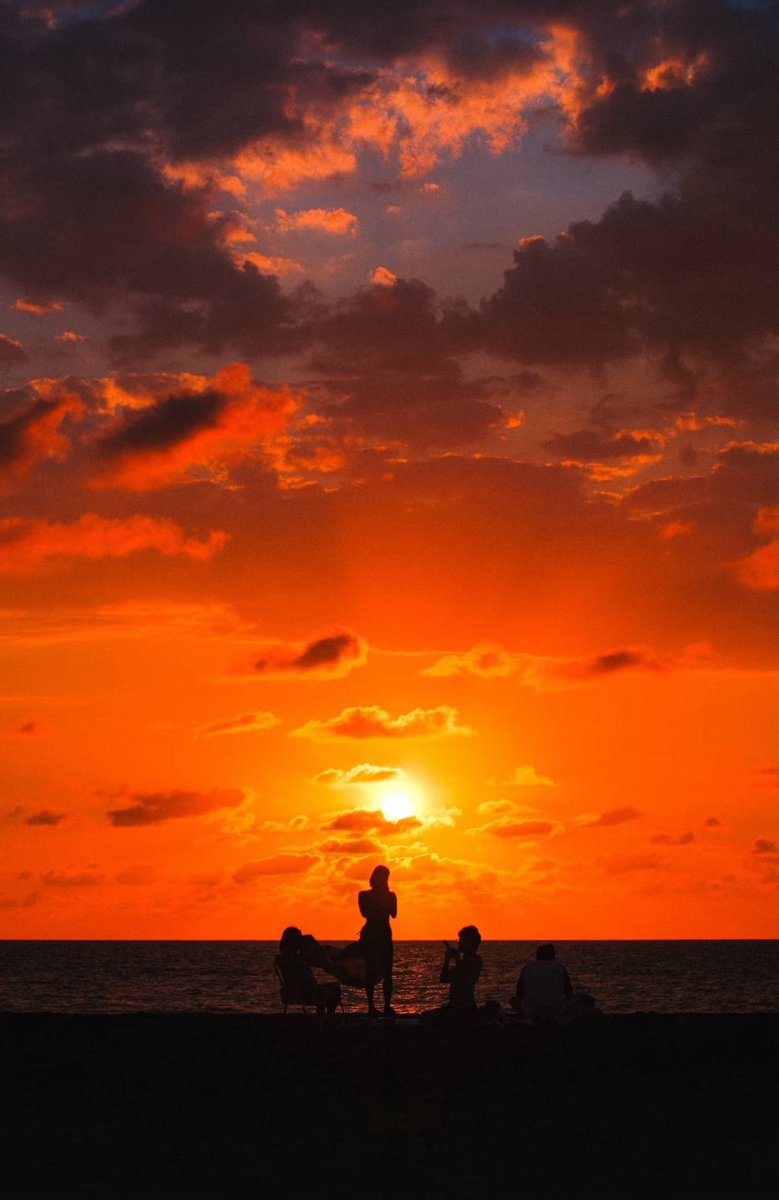 neal ◡̈ tweet media