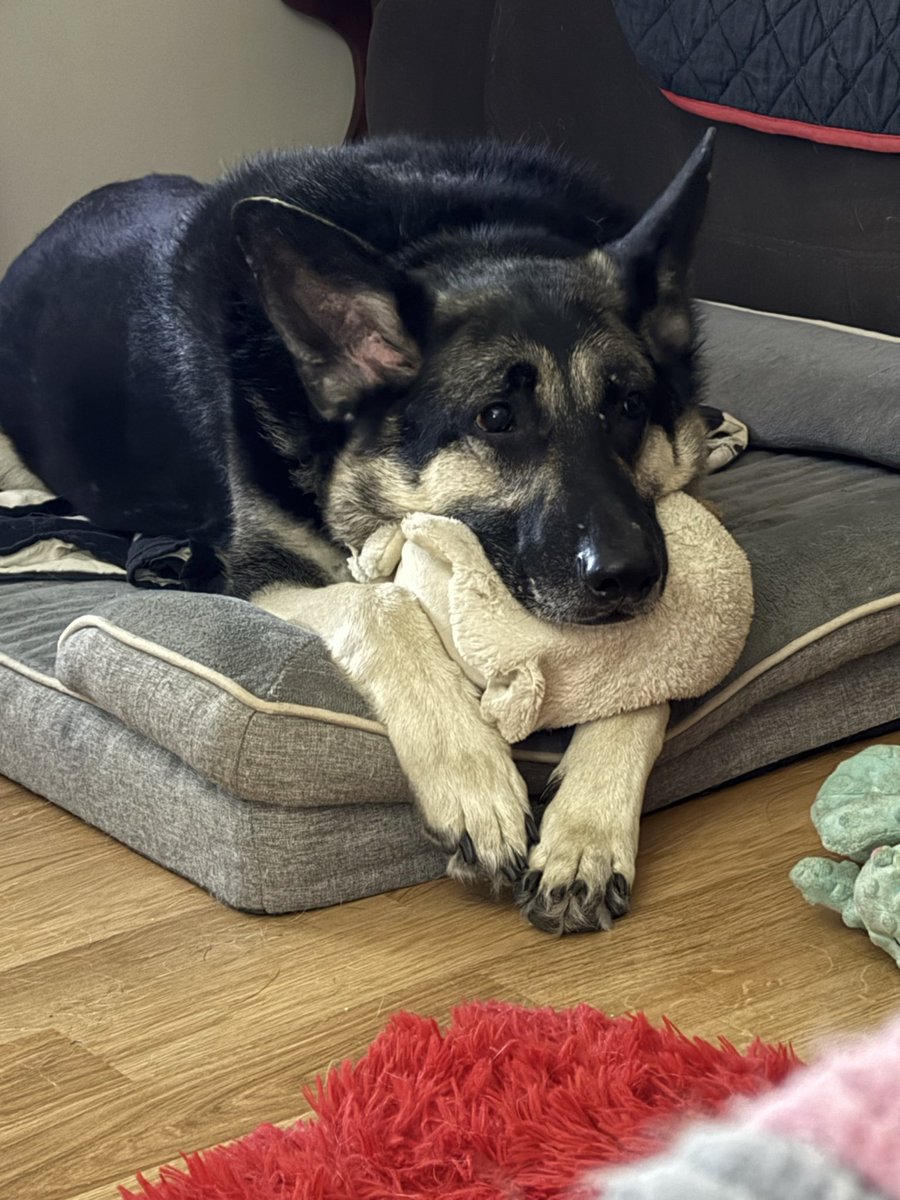 Nelson Cash tweet media