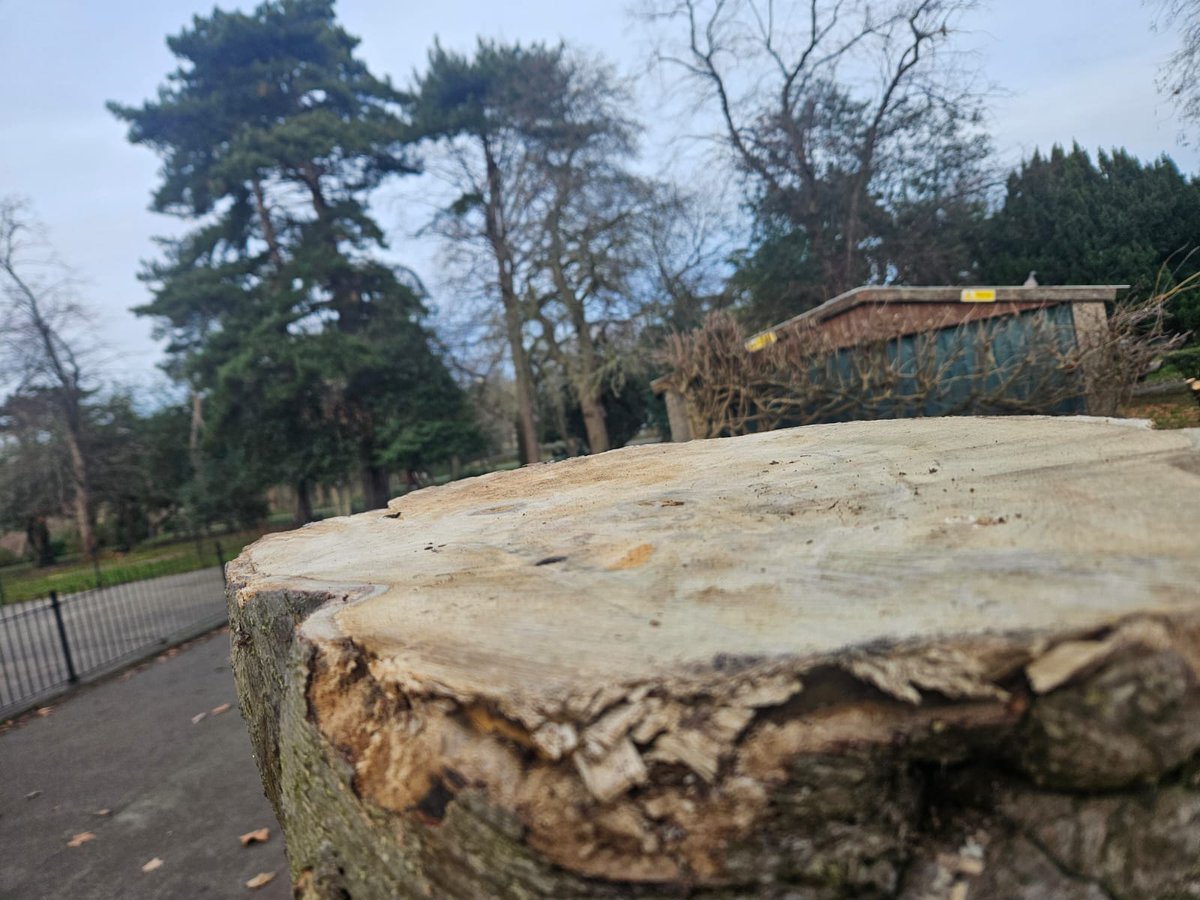 bristlingnarratives tweet media