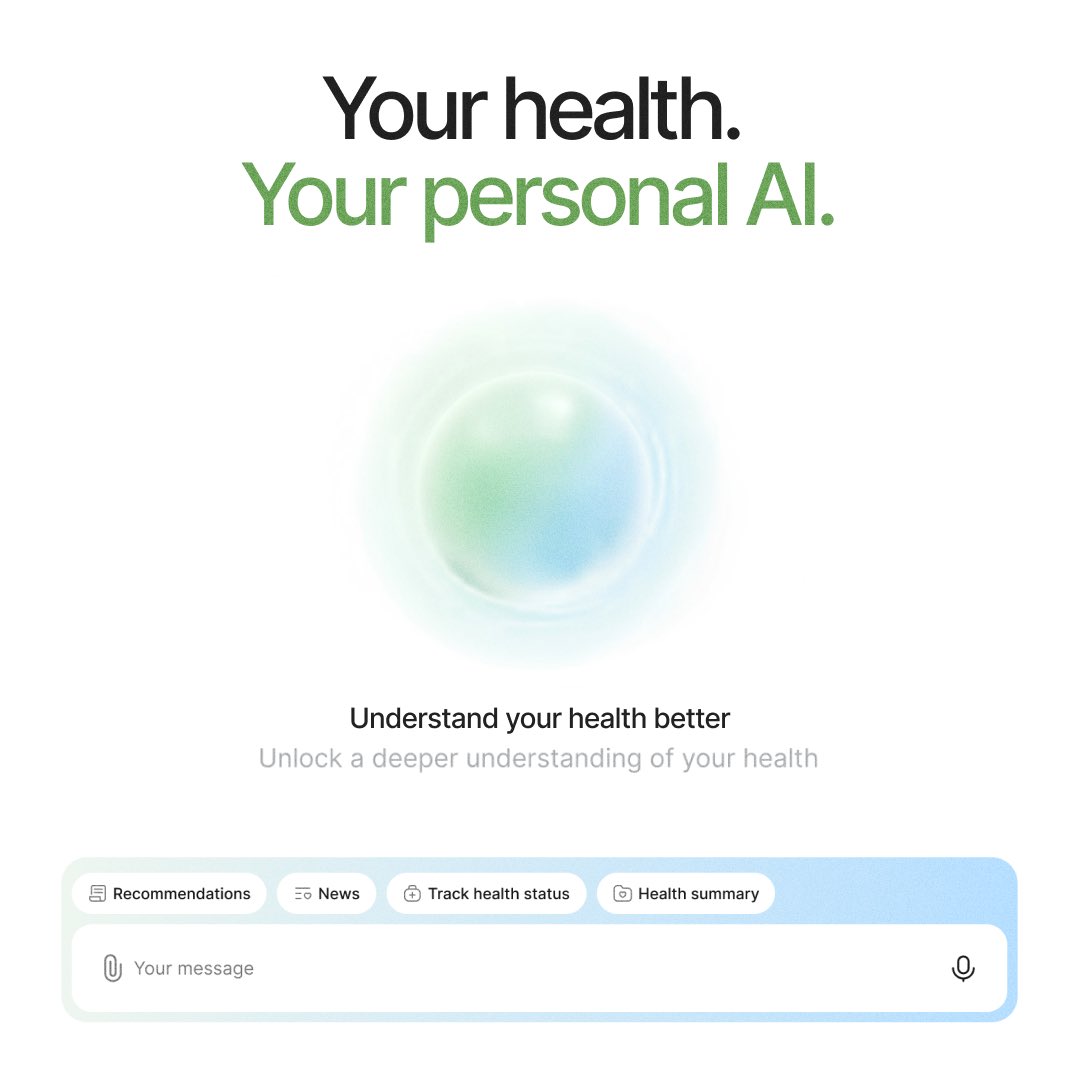 Holivita tweet media