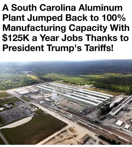 SaltyGoat tweet media