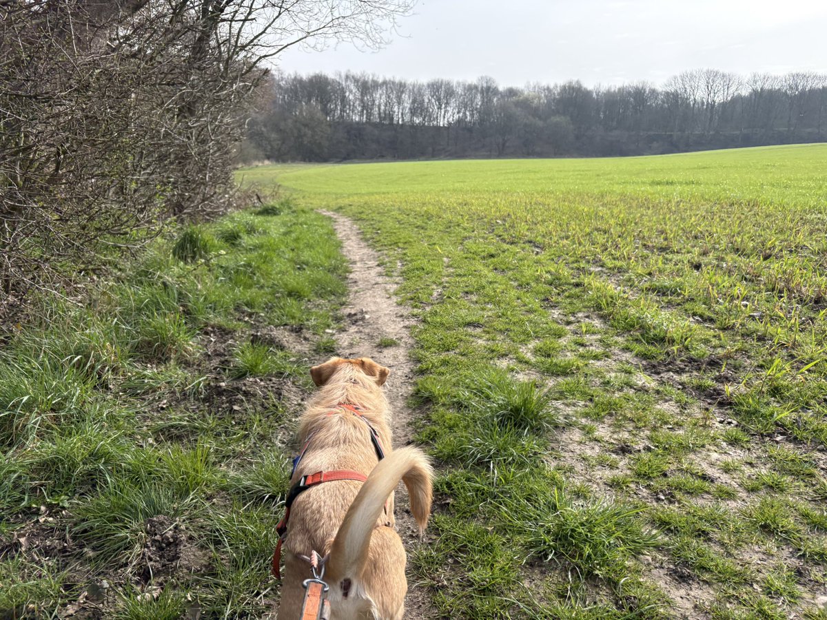 Miles with Michelle tweet media