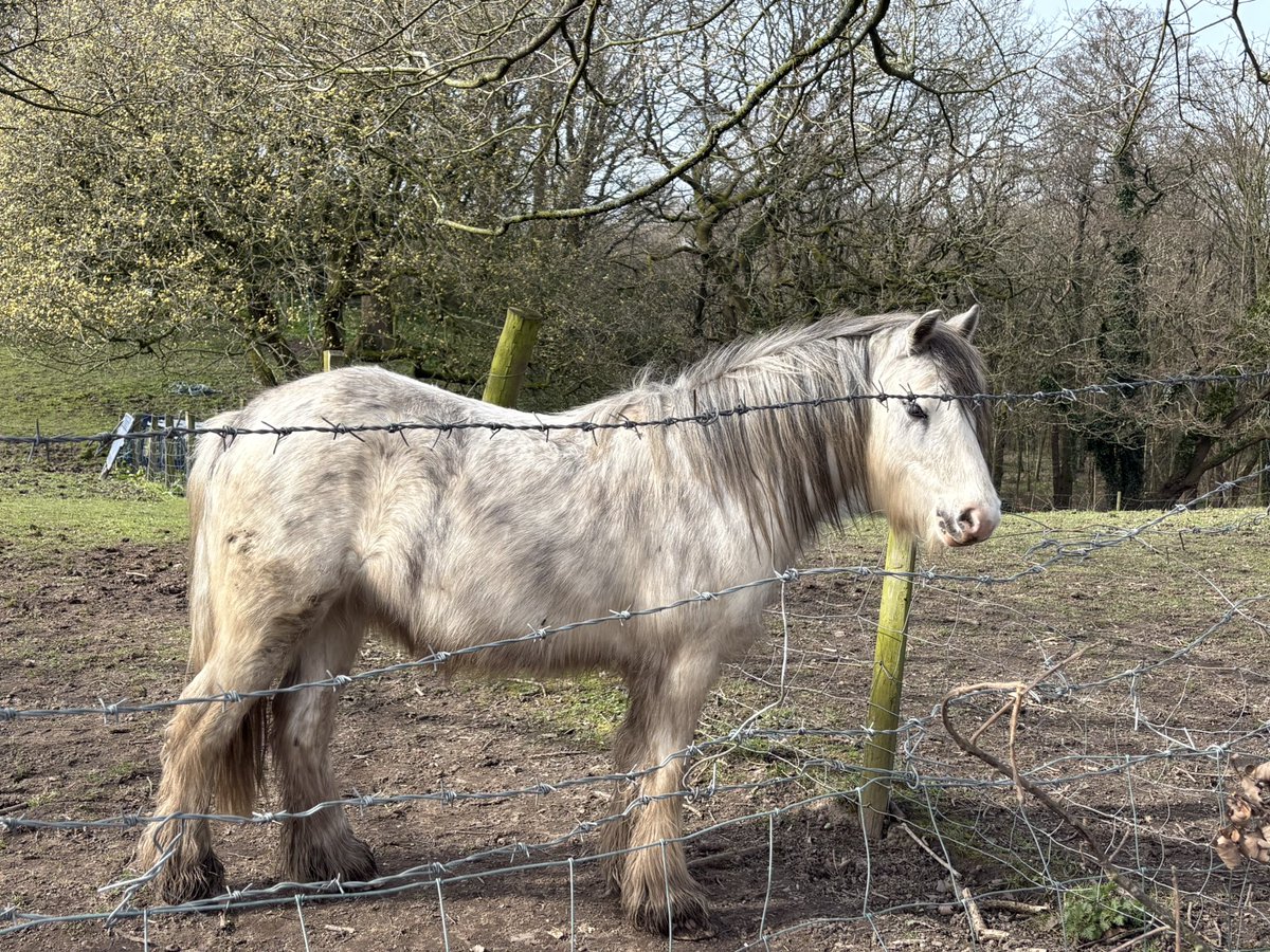 Miles with Michelle tweet media