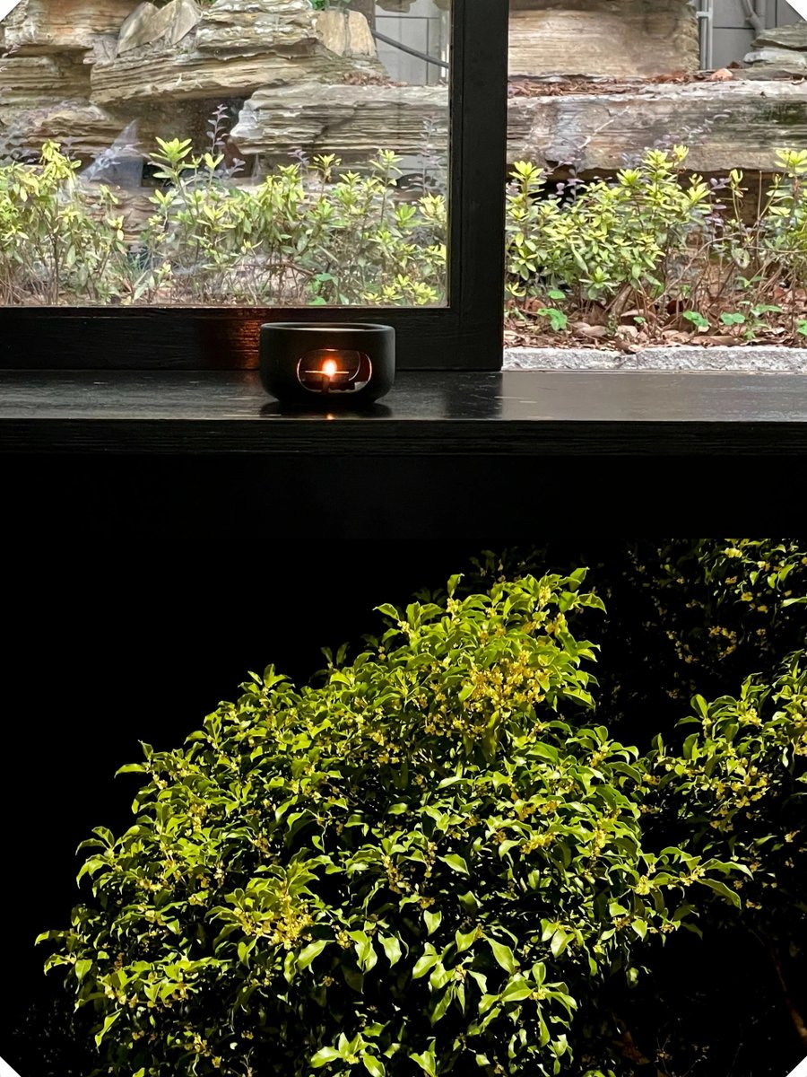 Taylor Clark tweet media