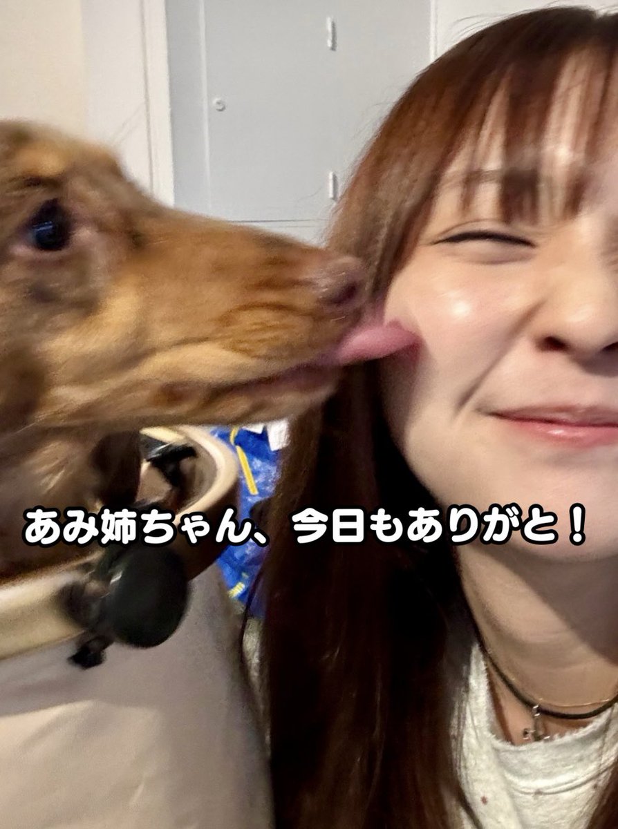 crazy_j69's tweet photo. 「HOME / FLEA / WORK」
改めまして、本日はありがとうございました^_^
あぺも大変喜んでおりました♪
明日、明後日も大盛況になりますように！

#山内姉妹
#HOMEFLEAWORK
@aina0703 
@soisooi117 https://t.co/5Kk6tg0Mej