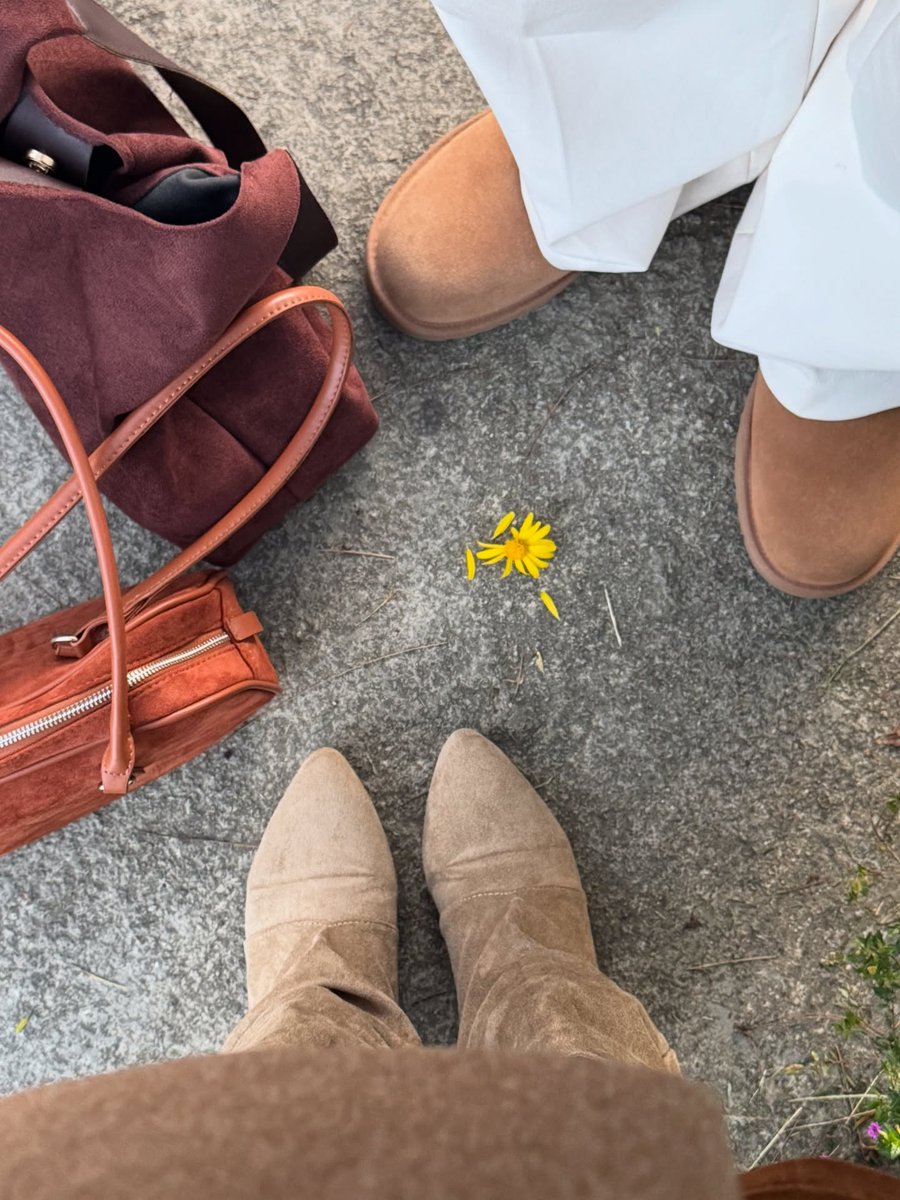 kristy melo tweet media