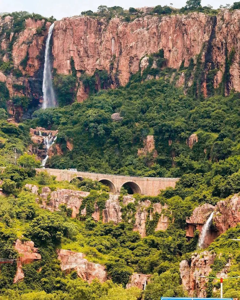 Andhra Nexus tweet media