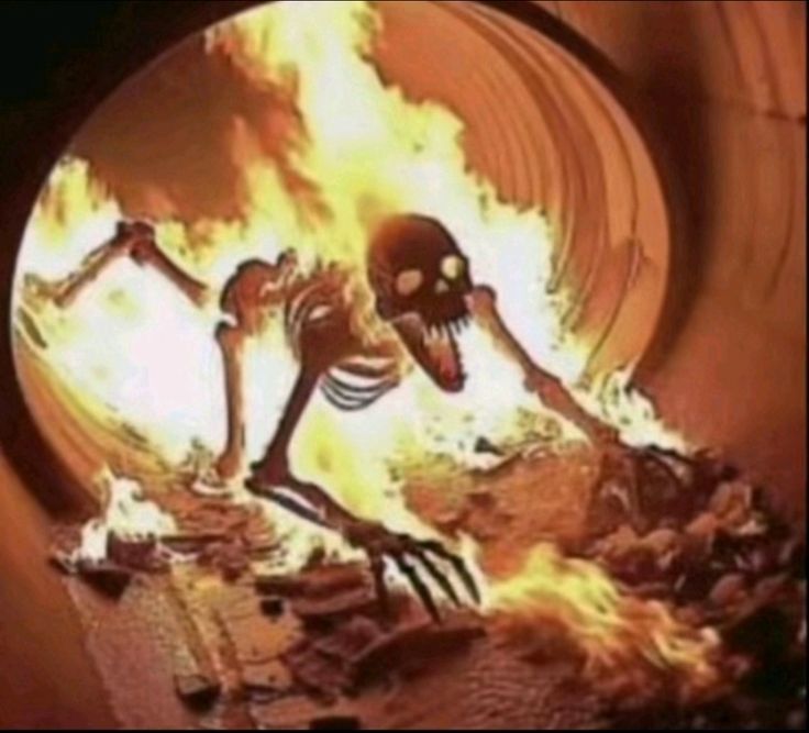 Mint Bowsy🍊 tweet media