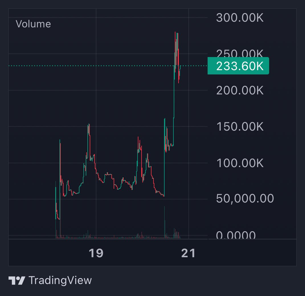 izzy ↑ tweet media