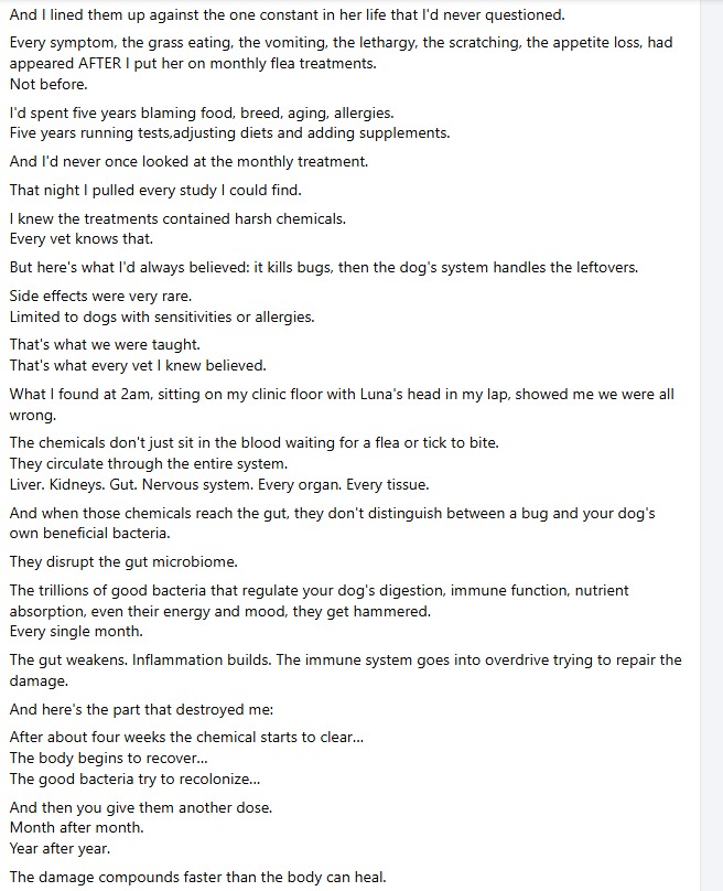 Witty Dog tweet media