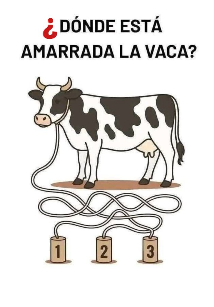 Dr. Alberto Blázquez tweet media