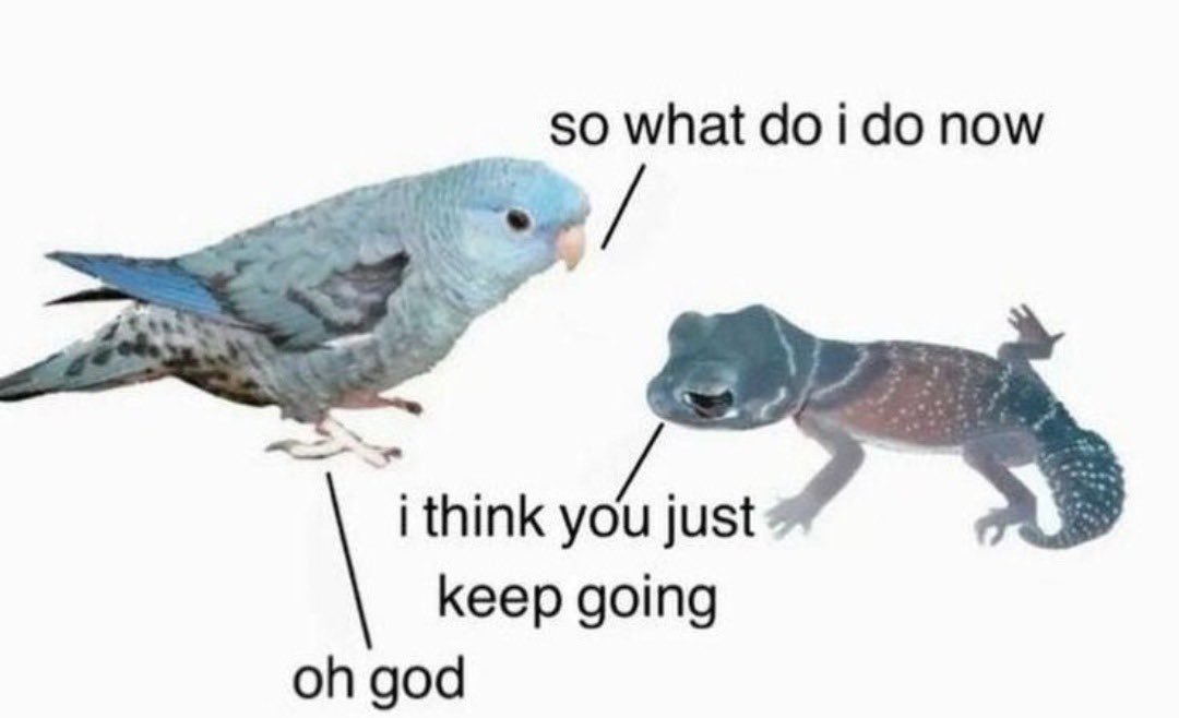 Vivid Void tweet media