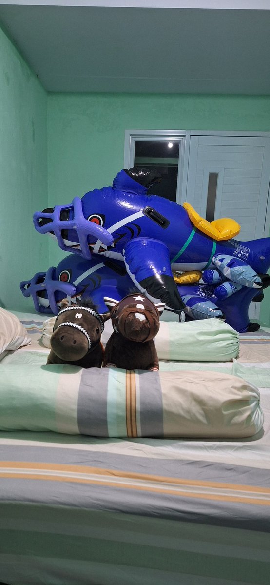 Unpronunceable Husky tweet media