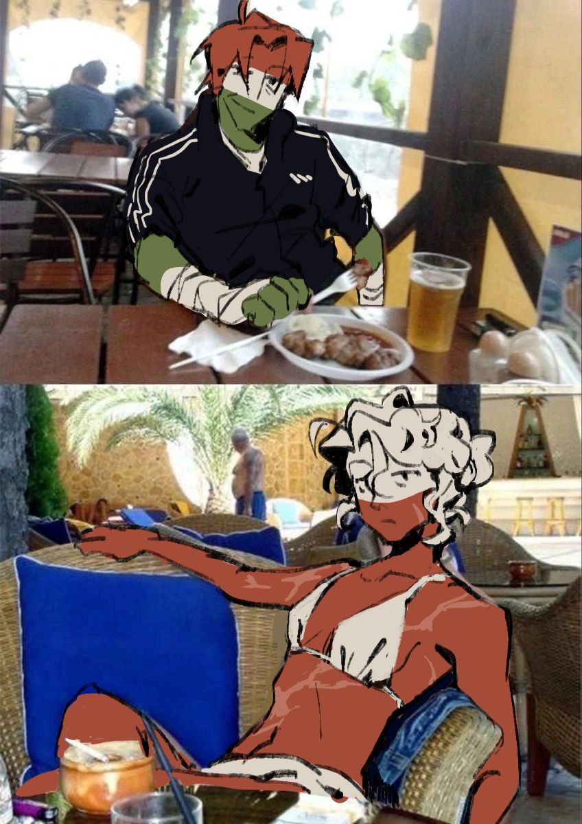 🇨🇿meta tweet media