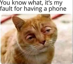 Call_Me_Chaos 🇺🇸 tweet media