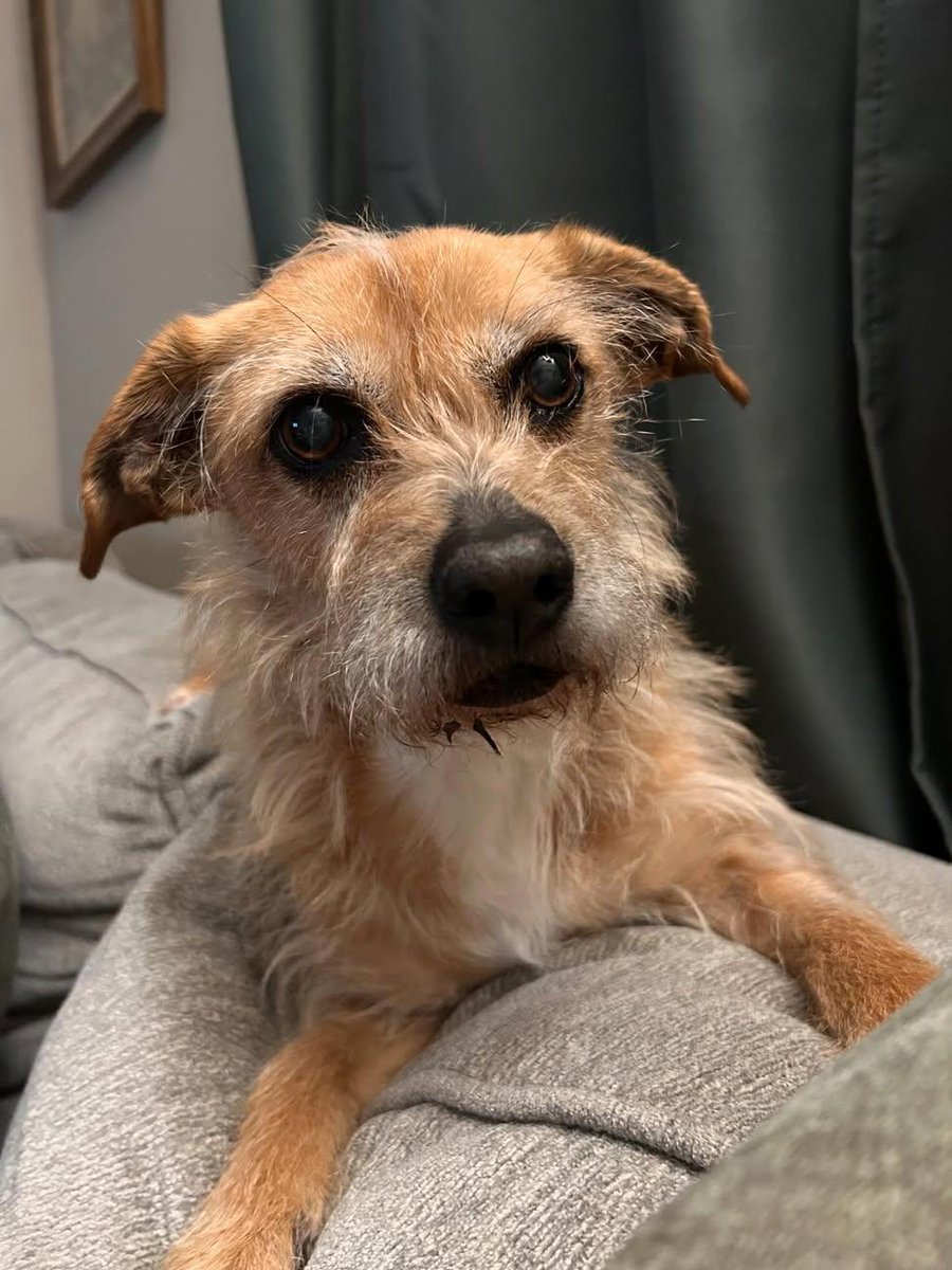 Sara Mary ⭐❤️ tweet media