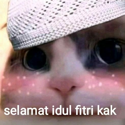 user brand (200/300) tweet media