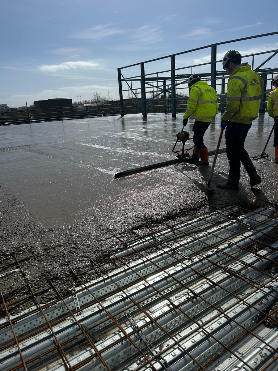 Amodeo Limited tweet media