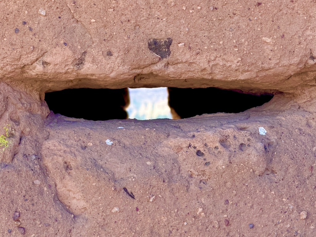 Joan Halifax tweet media