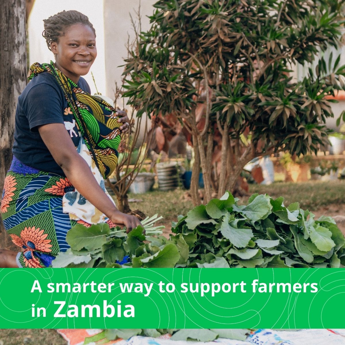 World Bank Group AgriFood tweet media