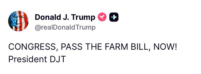 Gunther Eagleman™ tweet media