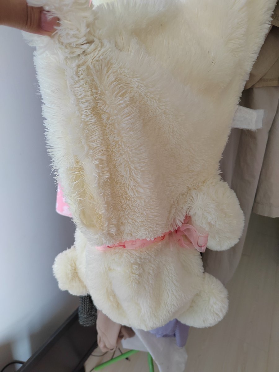 nuno barbosa tweet media