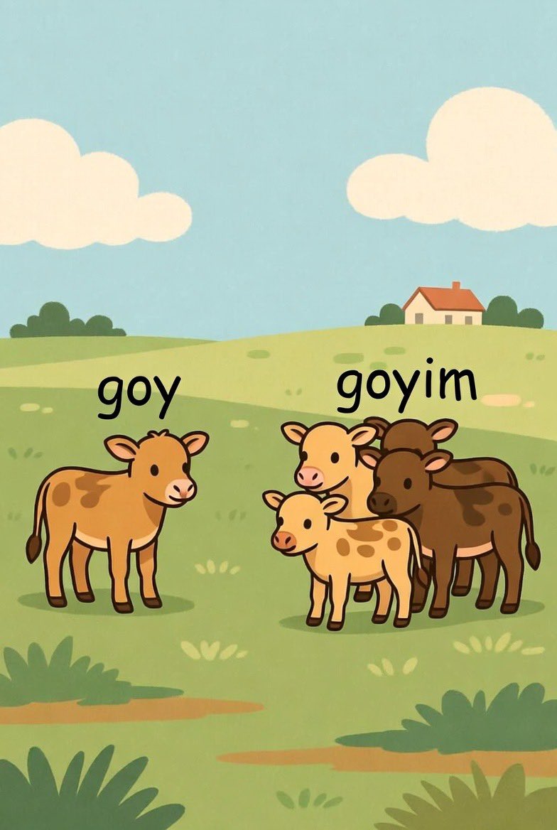 Fall Tako MD tweet media