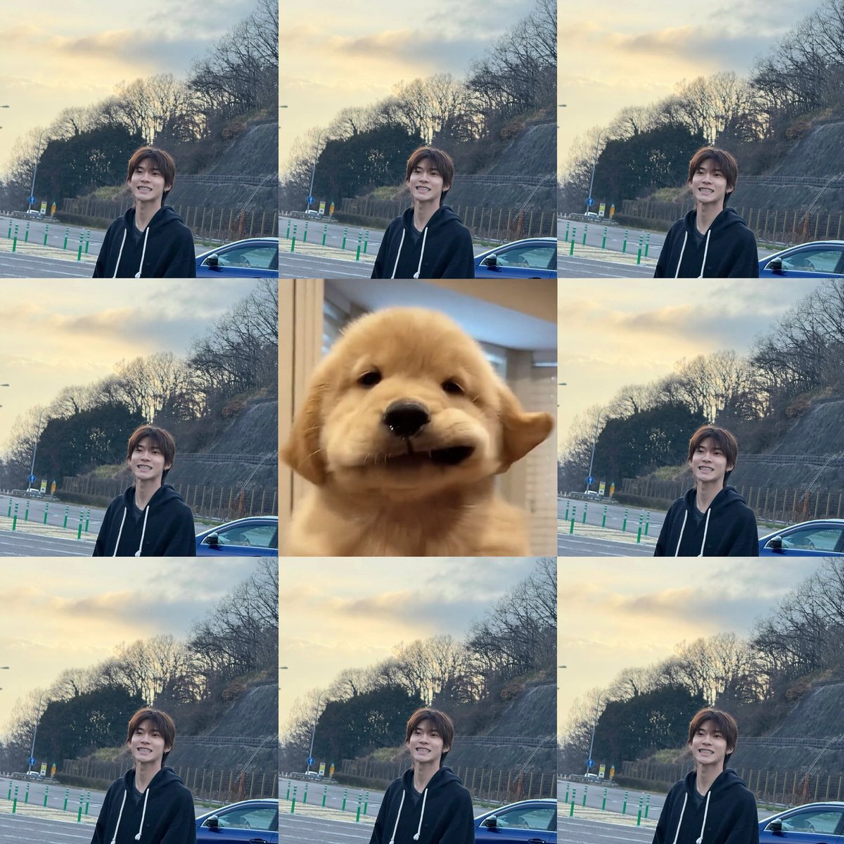 ตี๋หรอ โฮ่ง! หงิง 😭🐶❤️