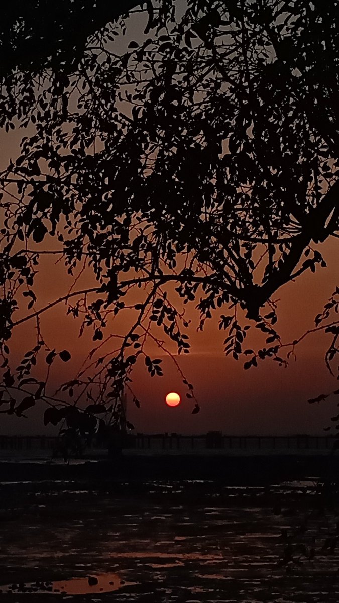 Netra Parikh tweet media