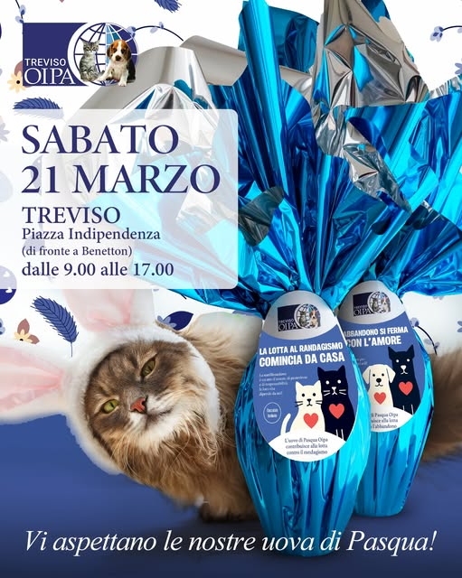 OipaTreviso's tweet photo. #sabato #21marzo a #Treviso 9-17 (#piazzaIndipendenza fronte #Benetton)tavolo #uovadipasqua #vegan👉https://t.co/kBzyHRkfj4 #adozioneanimali #protezioneanimali #gatti #kittens #raccoltafondi #catstagram #adozionegatti #Pasqua #easteregg #coloniefeline #sos https://t.co/eHsKtMg8Zu https://t.co/haXjdKkLNF