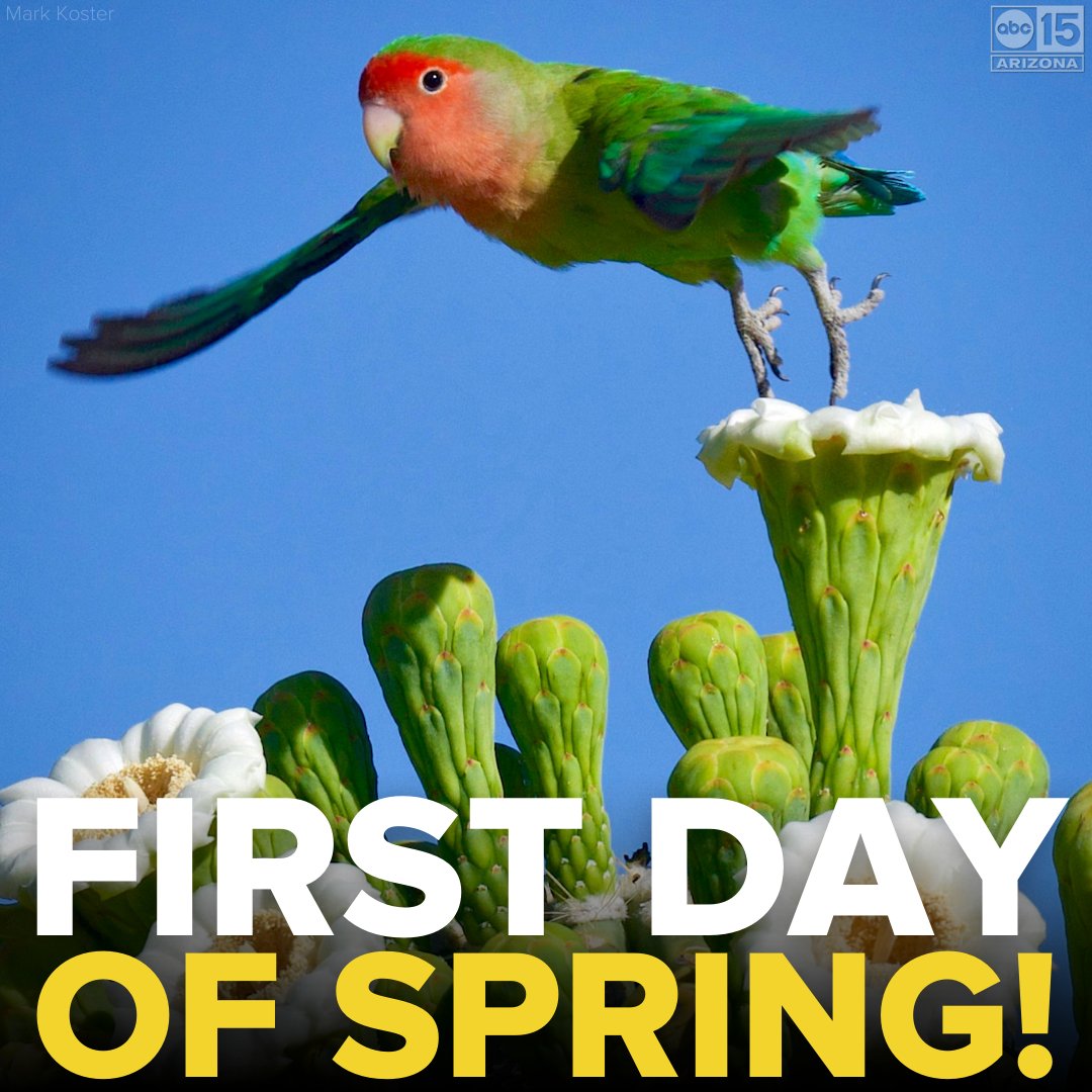 ABC15 Arizona tweet media