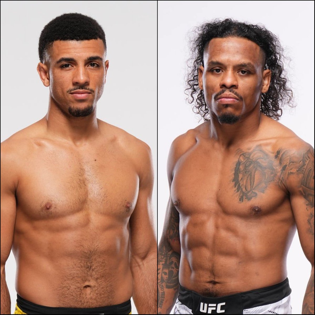 Marcel Dorff 🇳🇱🇮🇩 tweet media