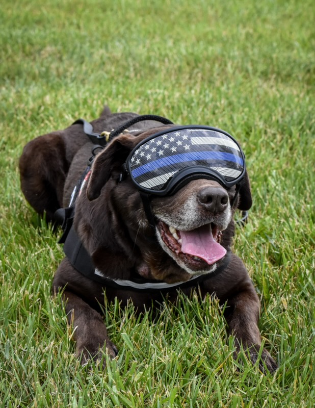 Local 12/WKRC-TV tweet media