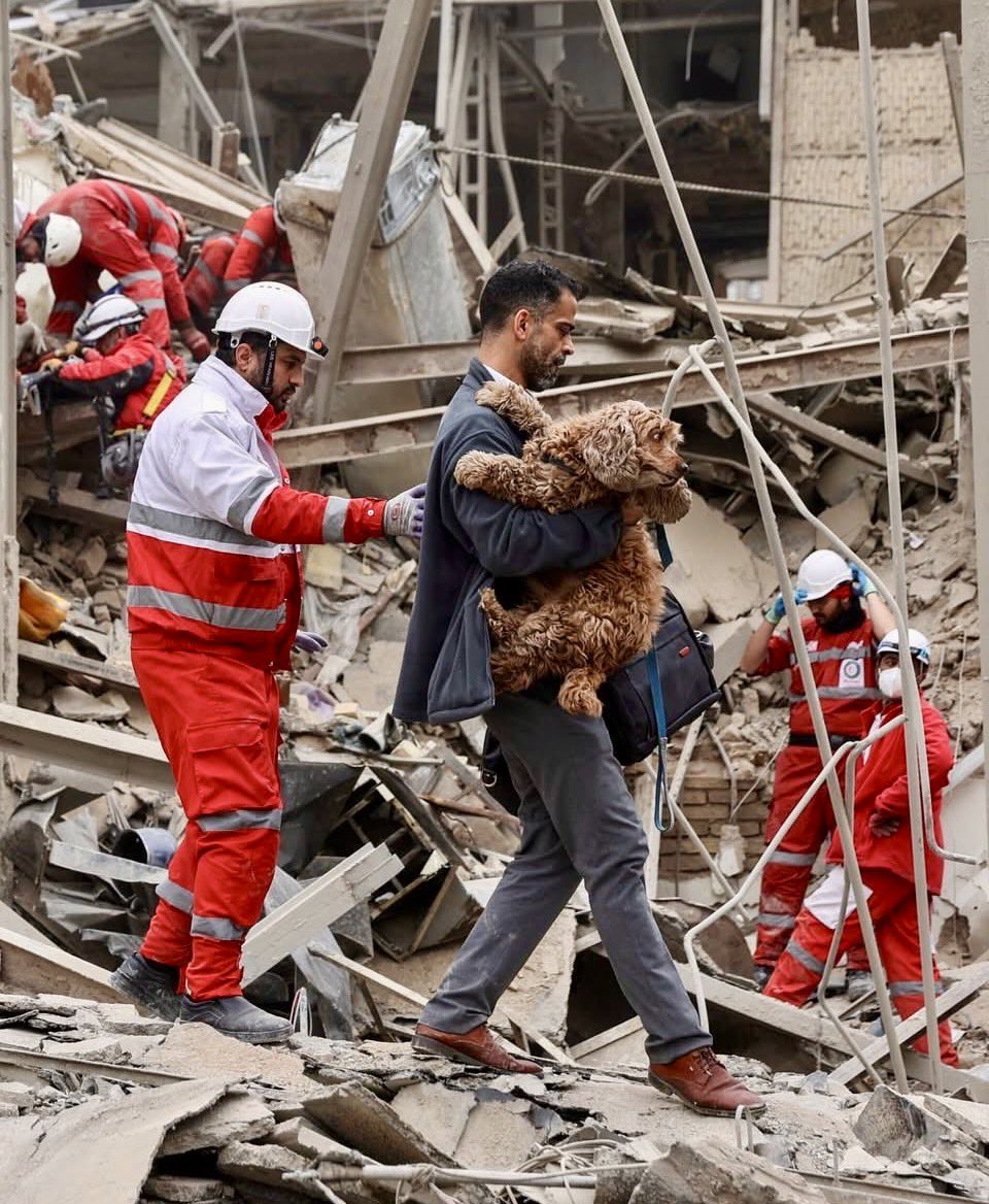 dominic dyer tweet media