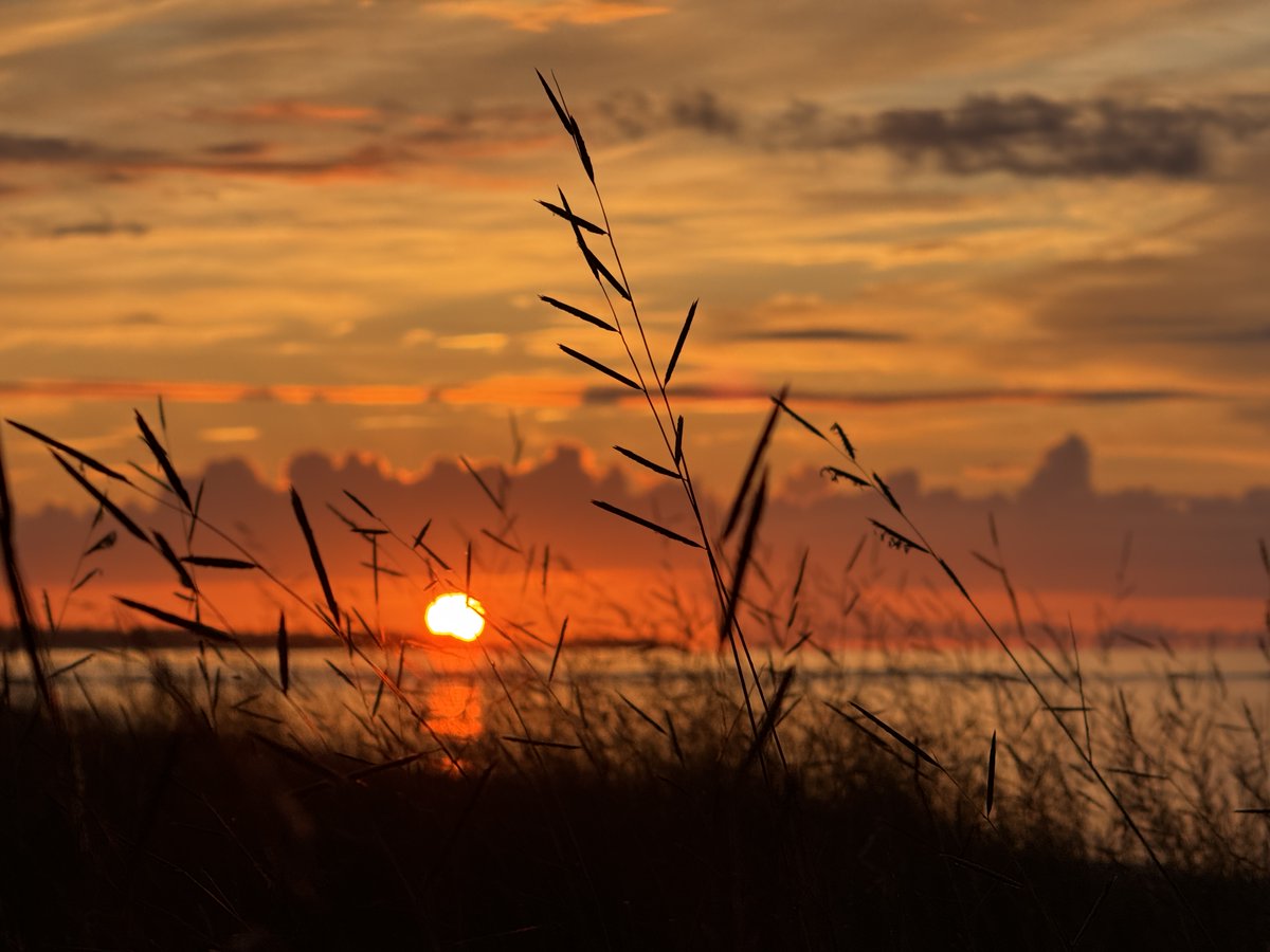 FL Assoc of Counties tweet media